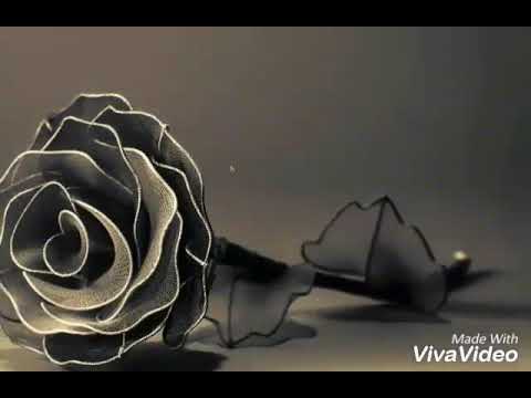 Nando Penn Fahima..  new byari love song...