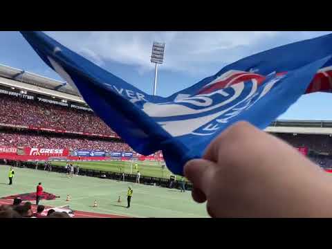 Was eine Auswärtsfahrt mit dem Sambazug + Nürnberg Steher = Stadion Vlog #14 (Nürnberg 1:2 Schalke)
