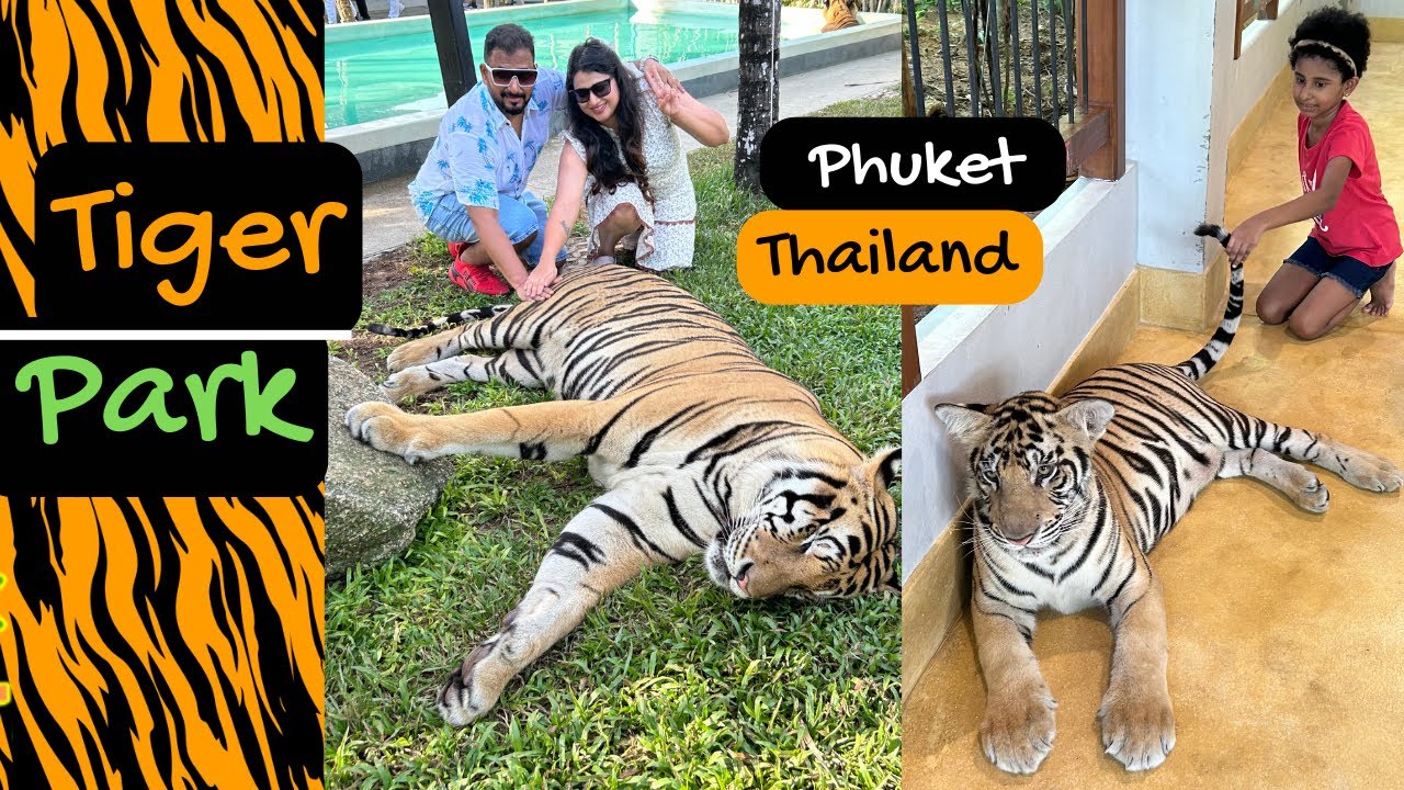 Explore safety briefings, select your ideal tiger size, understand interaction protocols, indulge in photo sessions, and immerse in an exceptional visitor experience.