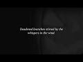 AFI-Fall Children Lyrics