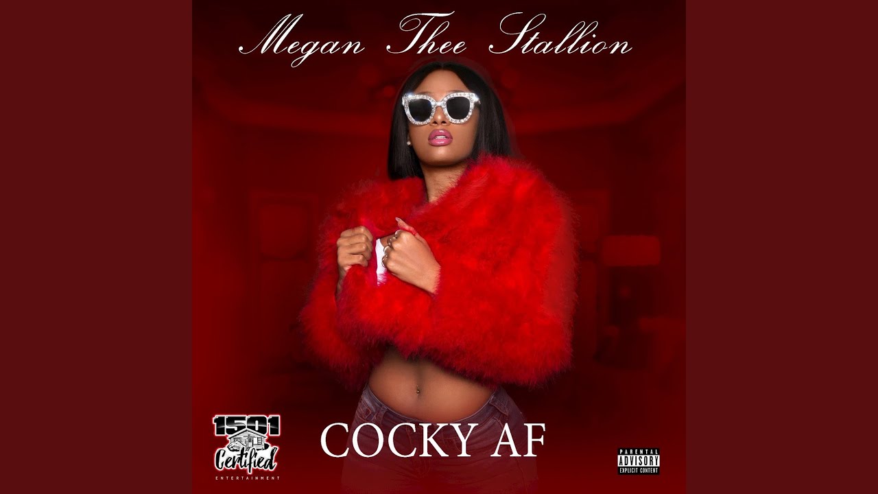 Megan Thee Stallion - Cocky Af