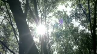 Up with the Birds - Coldplay (Subtitulado en Español)