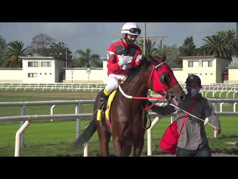 210425 c02 B Villanueva/ DON PATA (BRZ)