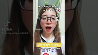 How to say "Happy New Year!" In Korean Language with Chryse