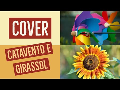 CATAVENTO E GIRASSOL - COVER - RODRIGO VIANNA