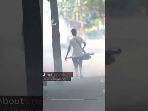 Bangladesh Dengue deaths surpass 233 in deadly outbreak | AJ #short