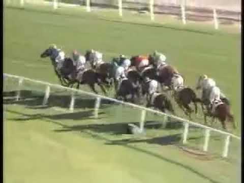 Lashkari - Breeders' Cup Turf 1984