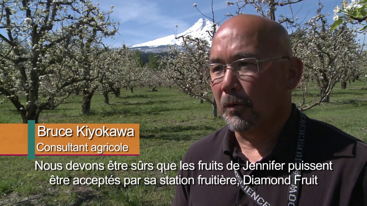 Les normes alimentaires mondiales du Codex aux États-Unis