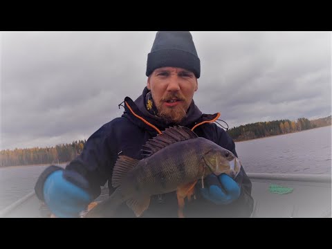 SYYSAHVENTA 3 | AHVENTA VENEEN PERÄSTÄ | DROPSHOT TEKNIIKKA!