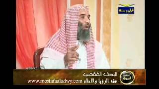 منوعات 508 سلسلة البحث الفقهي قناة الحافظ 3 فقه الرؤيا والأحلام