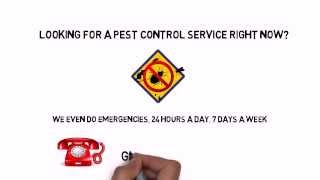 preview picture of video '24 Hour Emergency Pest Control Centennial CO Call 855-637-1101 Now!'