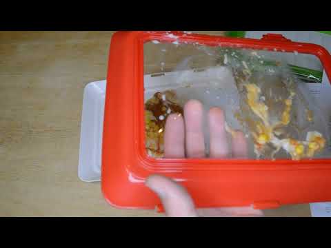 download lagu mp3 mp4 Heirloom Cookie Sheet Coupon, download lagu Heirloom Cookie Sheet Coupon gratis, unduh video klip Heirloom Cookie Sheet Coupon