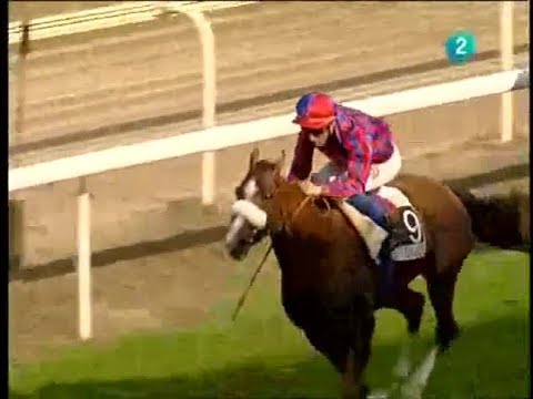 2009 - Copa de Oro - Young Tiger (J.B. Eyquem - F. Rohaut)