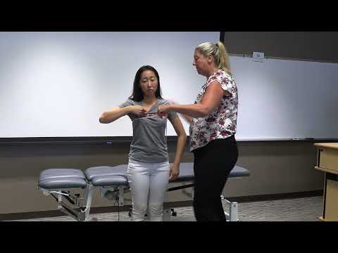 Chest Wall Excursion