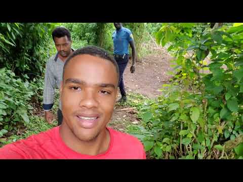 Exploring the only rainforest in Ethiopia