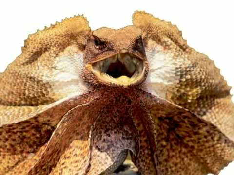 Speakers Corner at NSA Convention in Phoenix in July