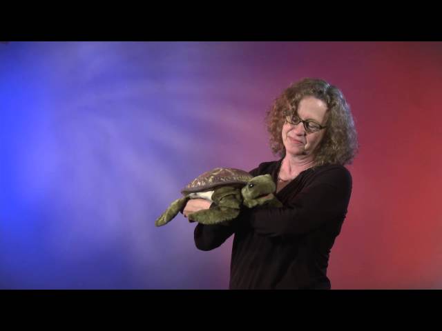 Video Teaser für Folkmanis® Sea Turtle Puppet Demo