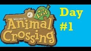 Animal Crossing New Leaf - Unlocking And Dream Address