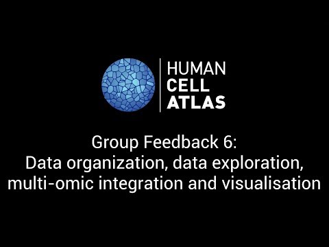 Data organization, data exploration, multi-omic integration and visualisation - Human Cell Atlas