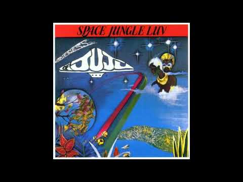 Oneness Of Juju - The Connection