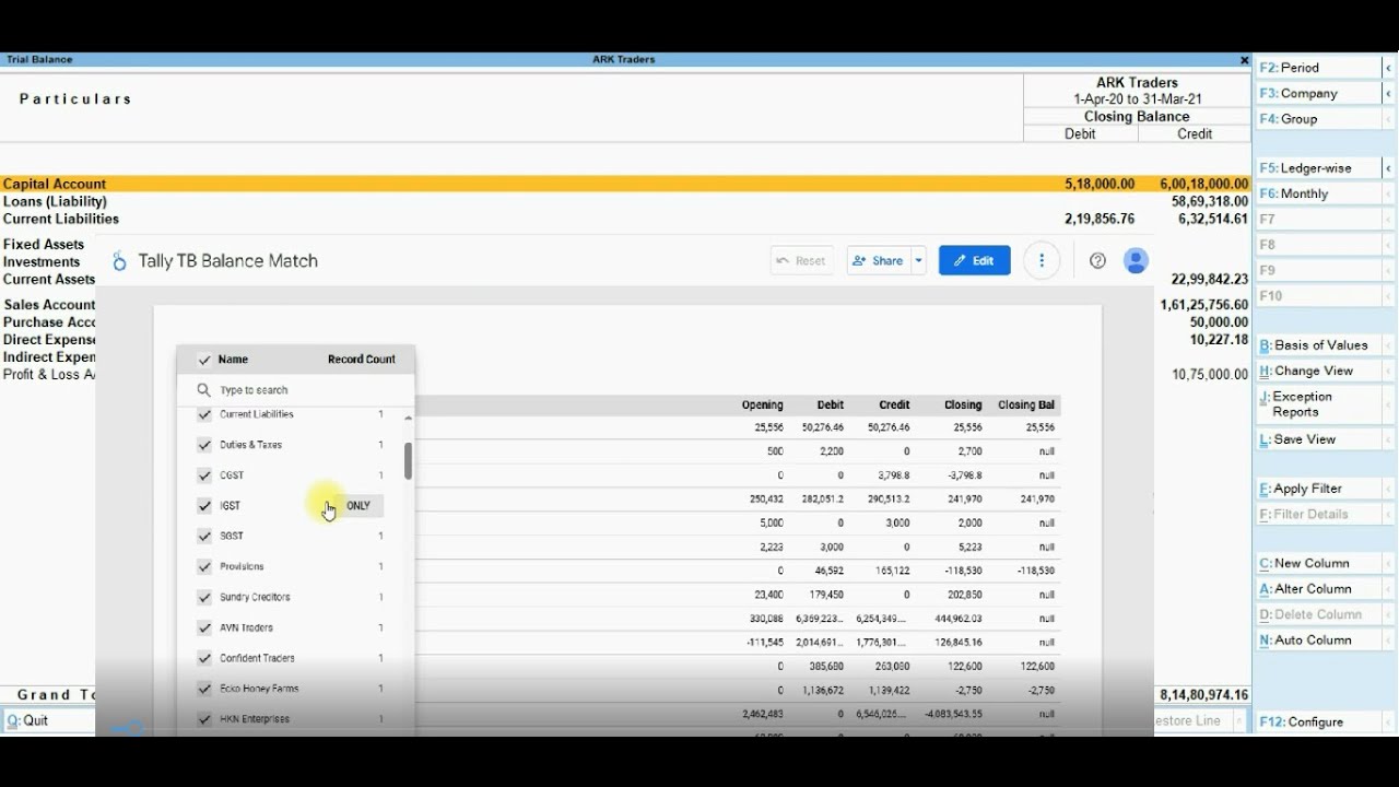 TallyPrime Google Studio Reports | Free Add-On | #tallyprime4