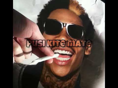 Pusi kite mate