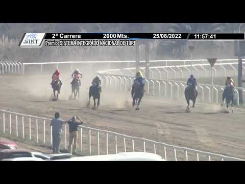 CARRERAS SINT COLONIA - 220825 c02 1° MASTROPIERO