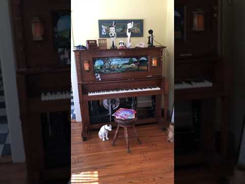 “Sad Eyes”, Fox Trot: