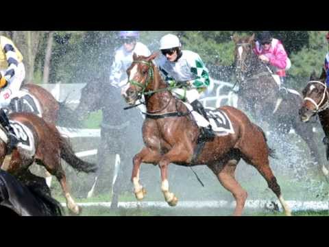 124. Velká pardubická steeplechase objektivy fotoaparátů a kamer