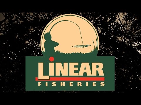 Linear Fisheries Tench Fishing Episode 2  (Manor Lake)