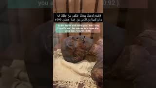 Download lagu Pharaoh Mummy in Egypt | Firaun Mummy In Museum|Subscribe For More|Islamicquotes | #Islamicquotes mp3 Download lagu Pharaoh Mummy in Egypt | Firaun Mummy In Museum|Subscribe For More|Islamicquotes | #Islamicquotes mp3