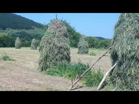 Bucosnita Caras Severin