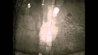 [Cérebro Morto] Release preview: Aktivitat / Violichte, by Maurizio Bianchi (release by late-March)