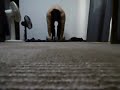 アブローラー333回(約5秒以内に1回のテンポ) 333 Ab Wheel
