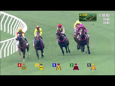 5/4/2021 (557) Mighty Giant - N Callan (G2, The Chairman's Trophy)