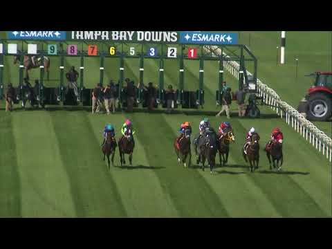 Tampa Bay Downs Live Stream