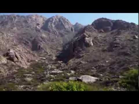 Jaime Torres, Tomas Lipan, Jairo - piedra y camino