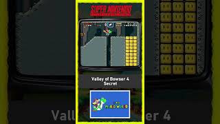 Capa de Valley of Bowser 4 (Secreta)
