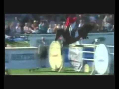 RIP Hickstead. | You gone too soon. Tribute for him. ♥