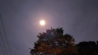 ショウケ越(峠)