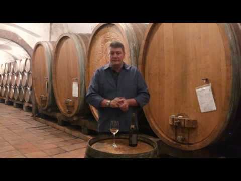 Pino Magma von der WG Königschaffhausen-Kiechlinsbergen