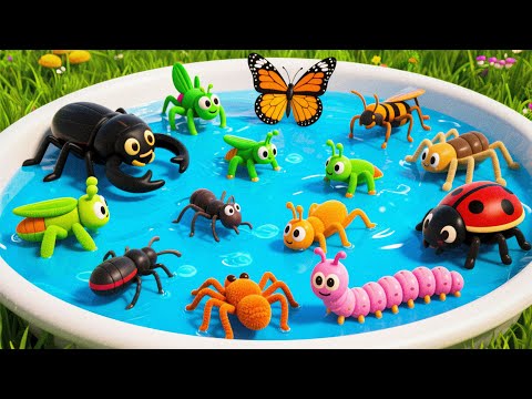 100 Amazing Insects and Bugs Around the World | English Vocabulary for Kids | Insect Names Learning!