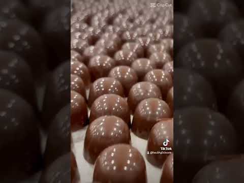 Making of THE ROO Premium Australian Dark Chocolates with Camel Milk