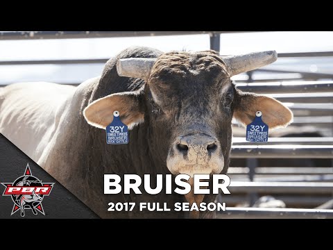 EVERY BUCK From World Champion Bucking Bull SweetPro's Bruiser | 2017