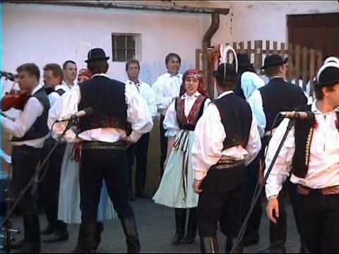 Včelaran 50 Topolná 2010d.mpg