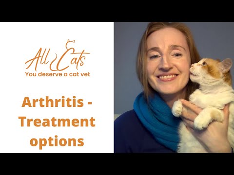 Arthritis - Treatment options for cats