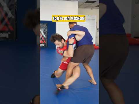 Judo Combination🥋 How to hit the Ko-uchi Makikomi off Ippon Seoi Nage #wrestling #bjj #technique