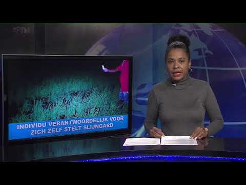 Description or Alt Text