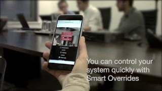 Miniatură video Crono termostat Wifi - cu comanda de la distanta din telefon 