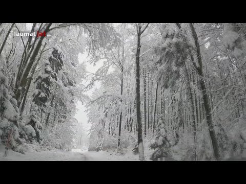 Schneechaos: Intensiver Schneefall sorgt für massive Verkehrsbehinderungen in Oberösterreich